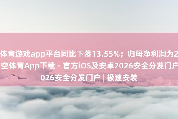 体育游戏app平台同比下落13.55%；归母净利润为2.04亿元-星空体育App下载 - 官方iOS及安卓2026安全分发门户 | 极速安装